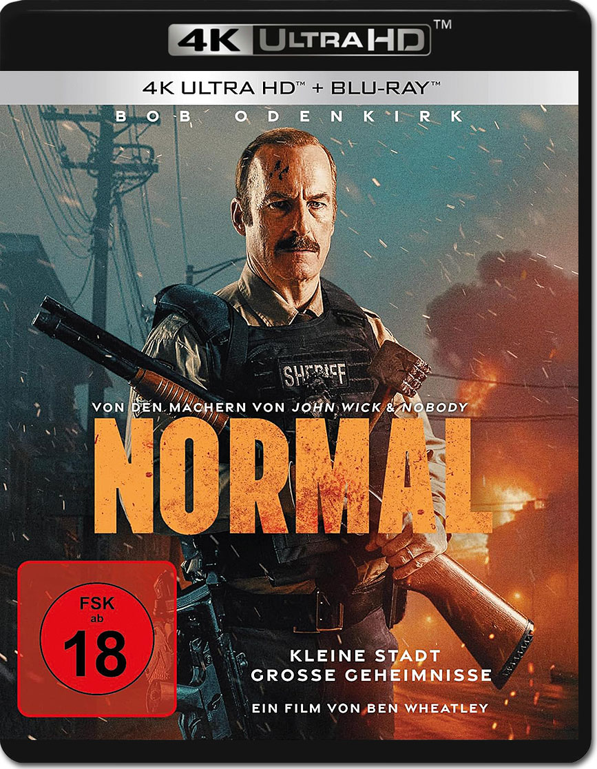 替补悍警 Normal影片海报