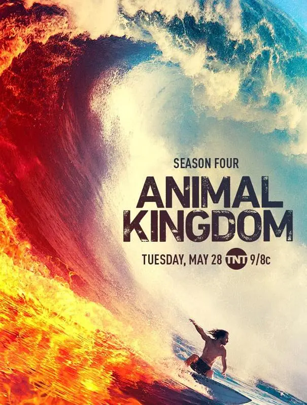 野兽家族 第四季 Animal Kingdom Season 4