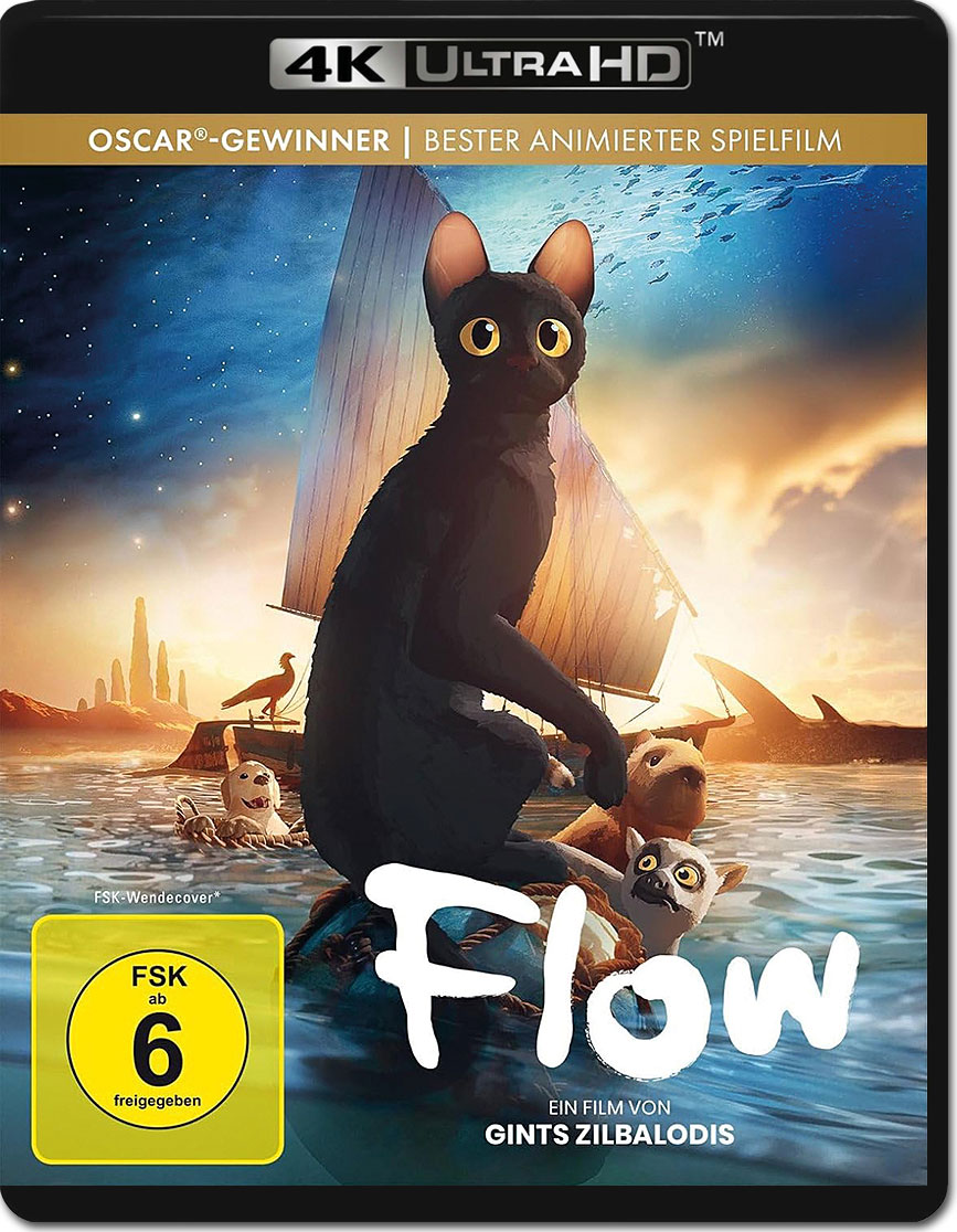 猫猫的奇幻漂流 Straume
