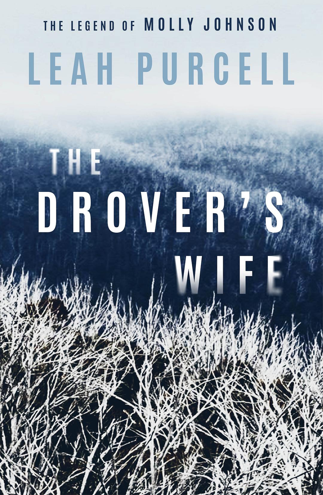 放牧人的妻子:莫莉·约翰逊的传奇故事 The Drover's Wife: The Legend of Molly Johnson影片海报