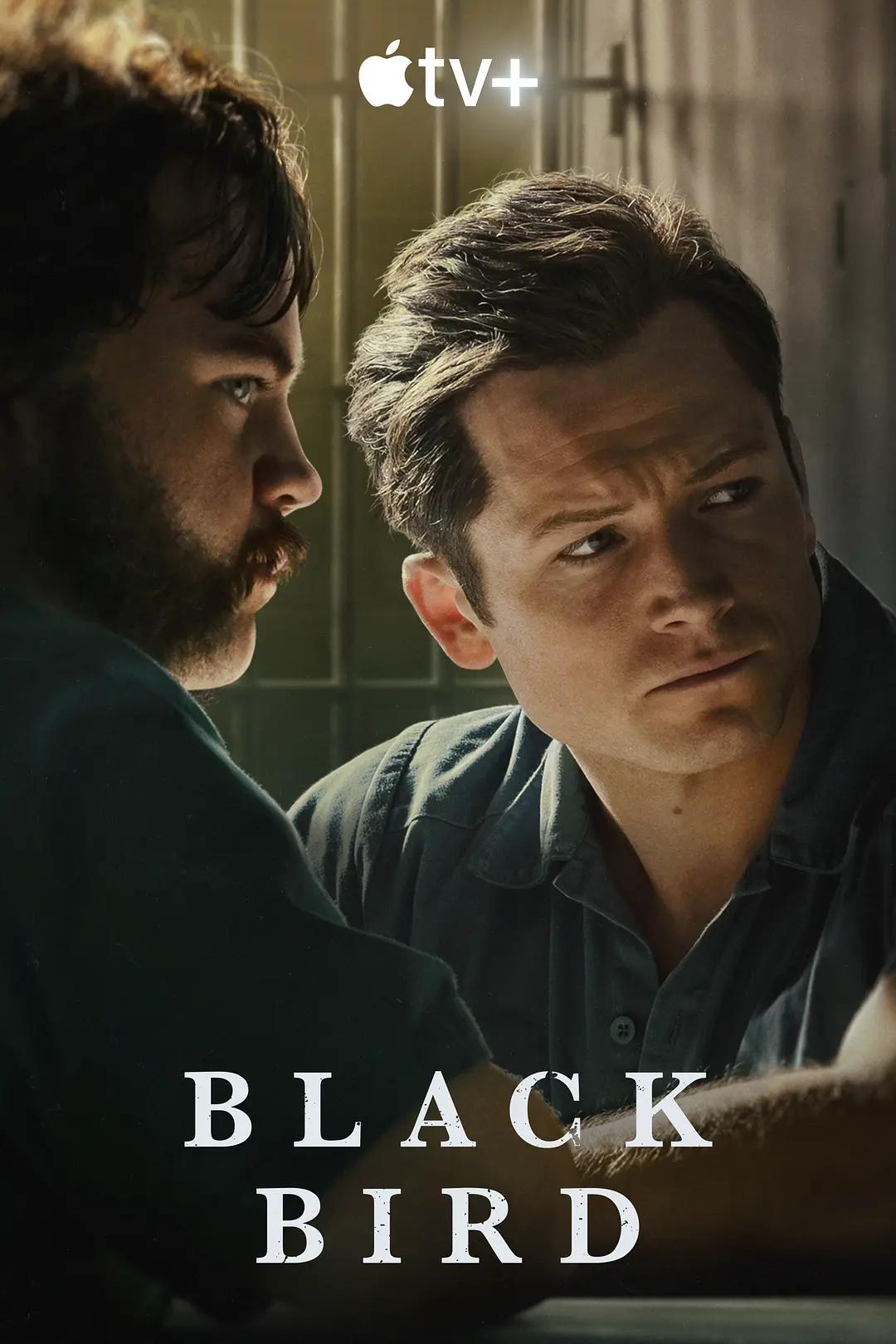 黑鸟 Black Bird影片海报