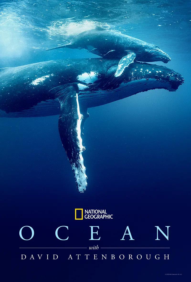 大卫·爱登堡：海洋 Ocean with David Attenborough