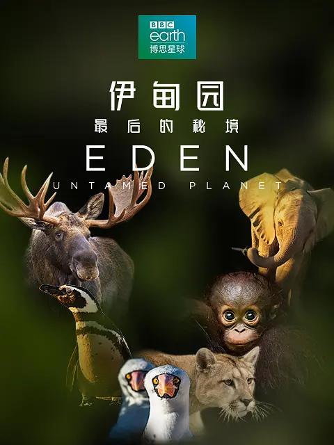 背景模糊
