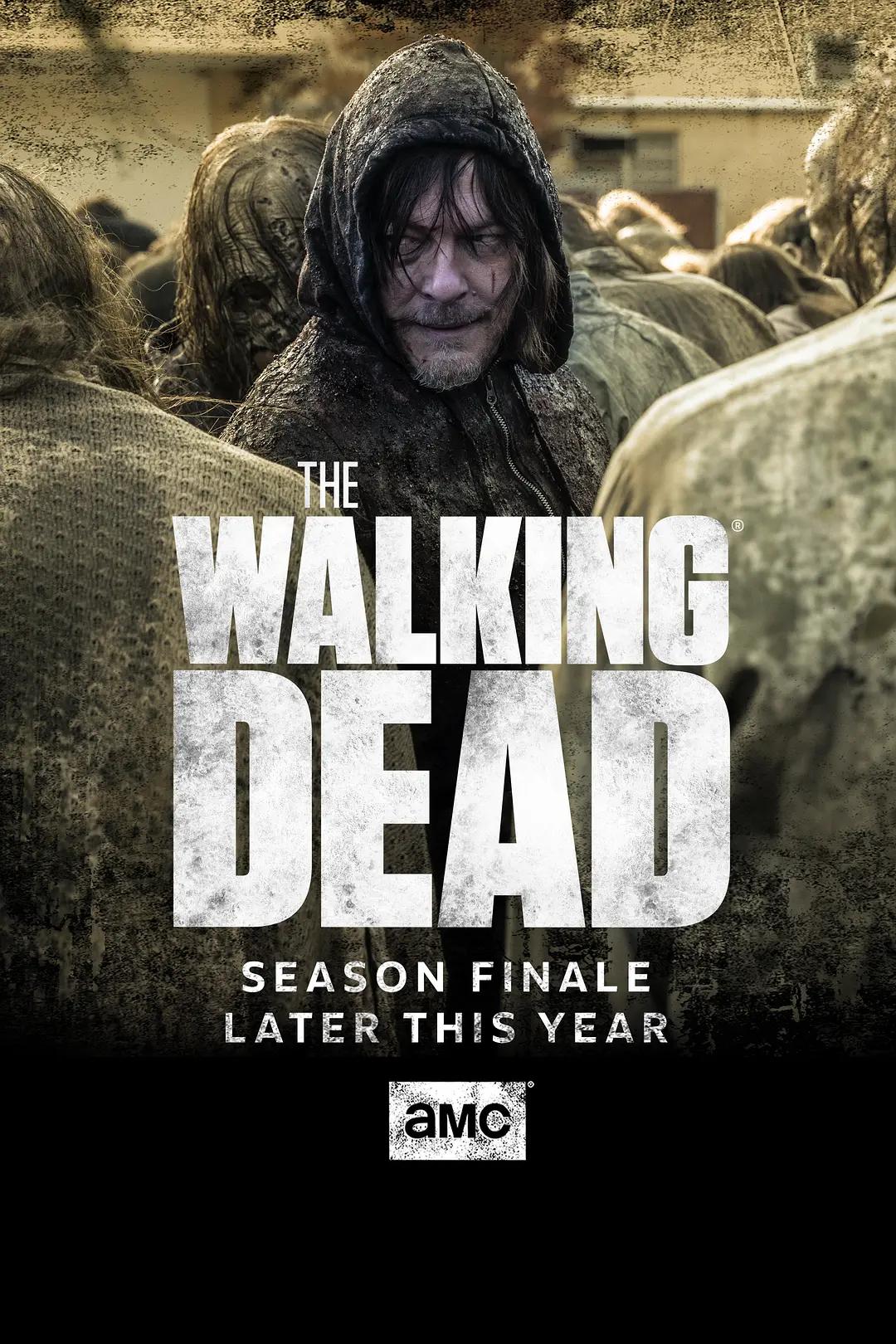 行尸走肉 第十季 The Walking Dead Season 10影片海报