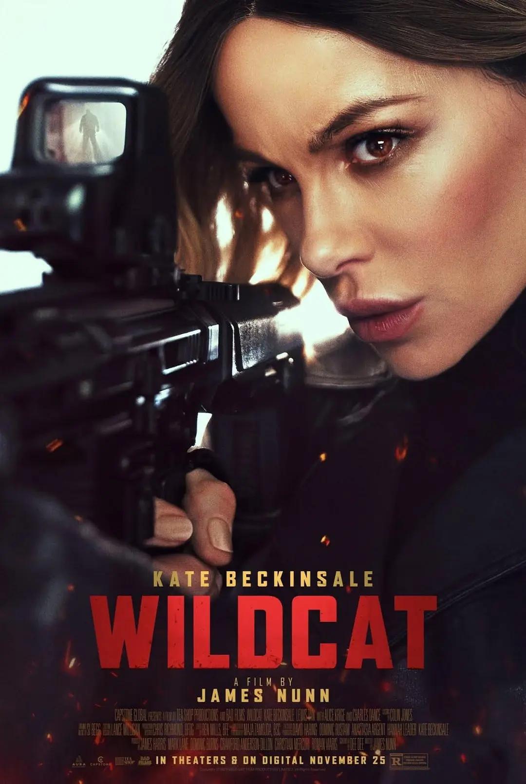限时营救 Wildcat影片海报