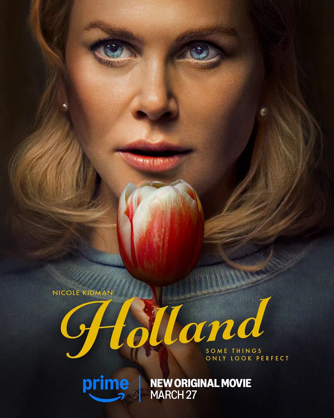 荷兰镇 Holland影片海报