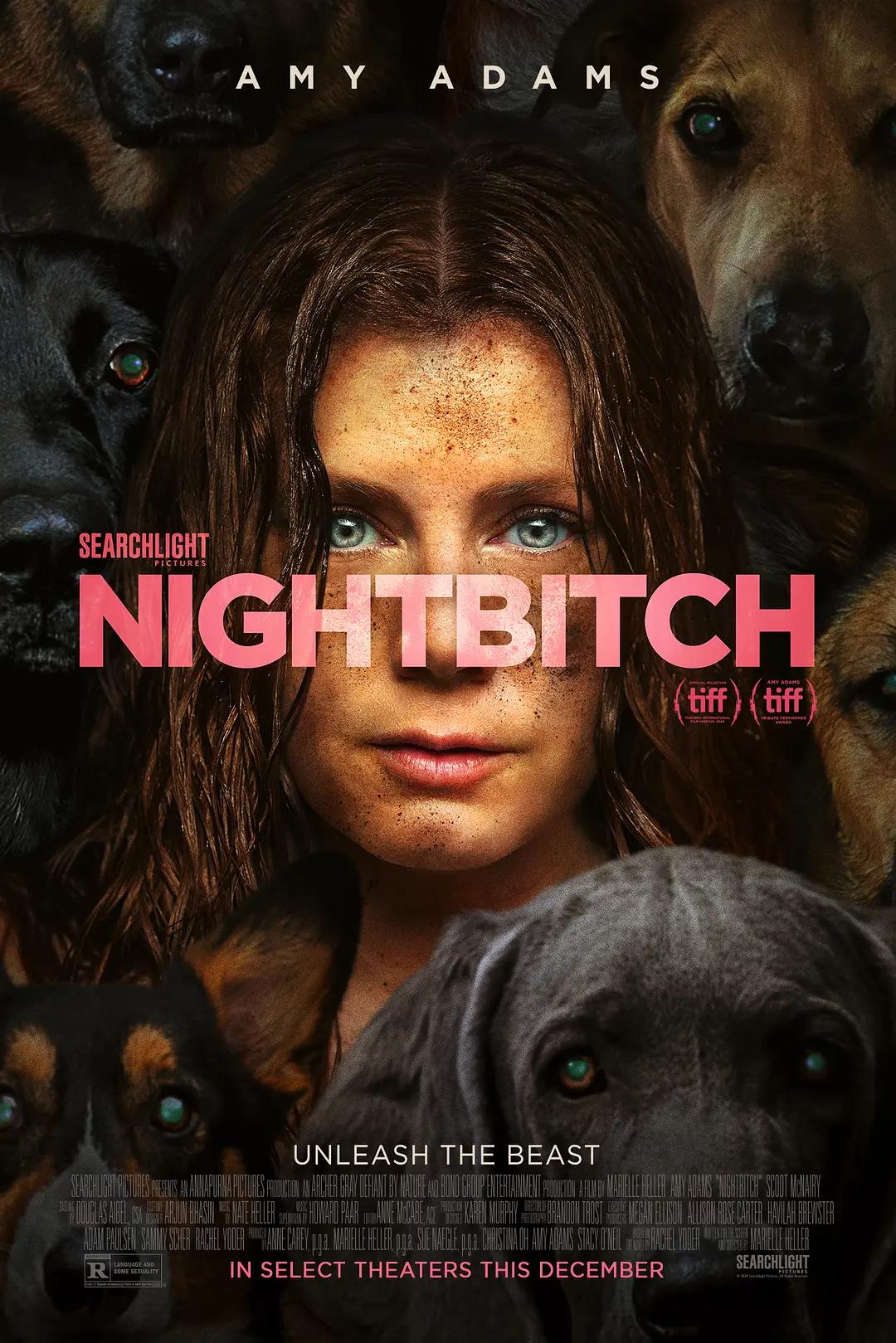 夜母 Nightbitch影片海报