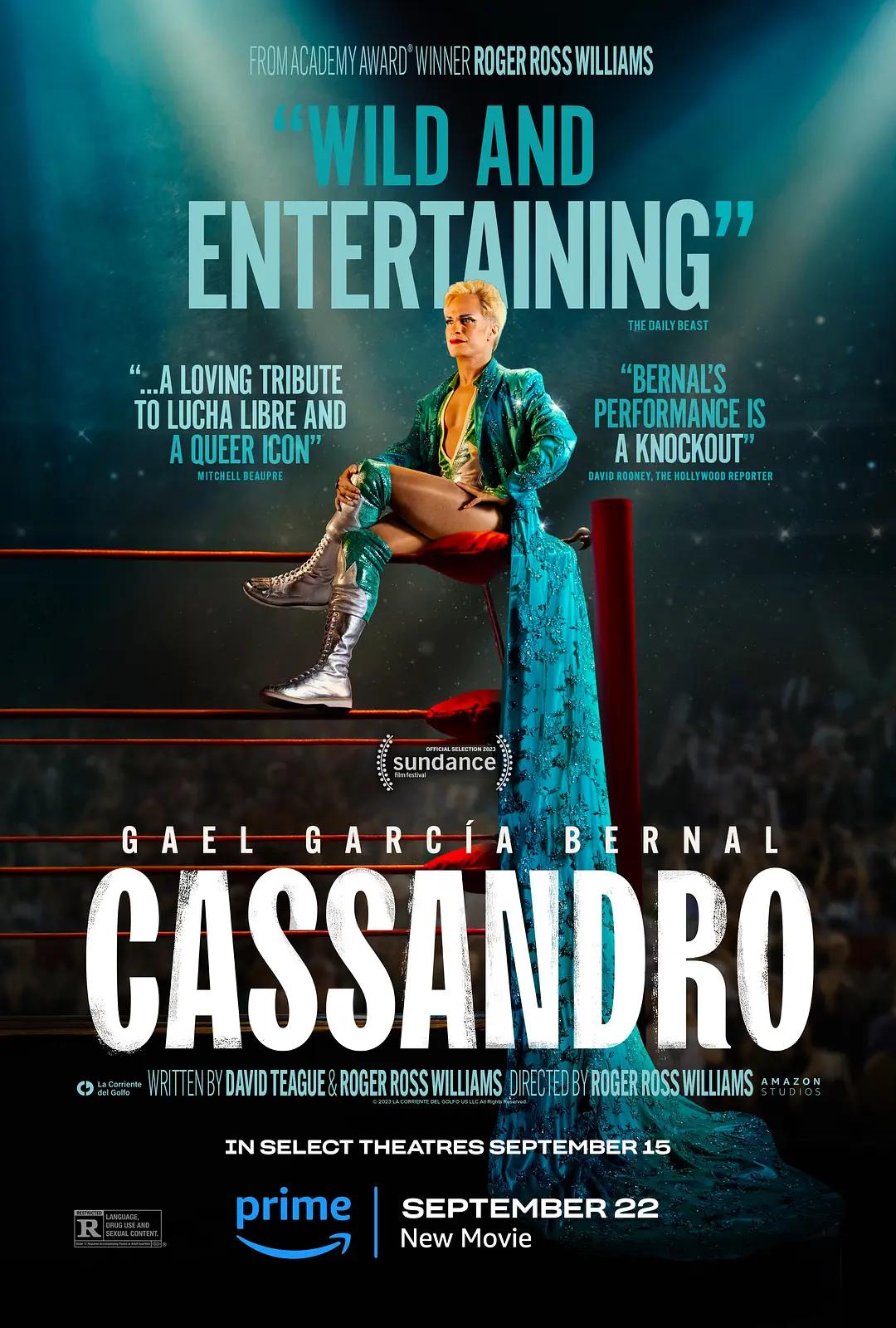 卡桑德罗 Cassandro影片海报