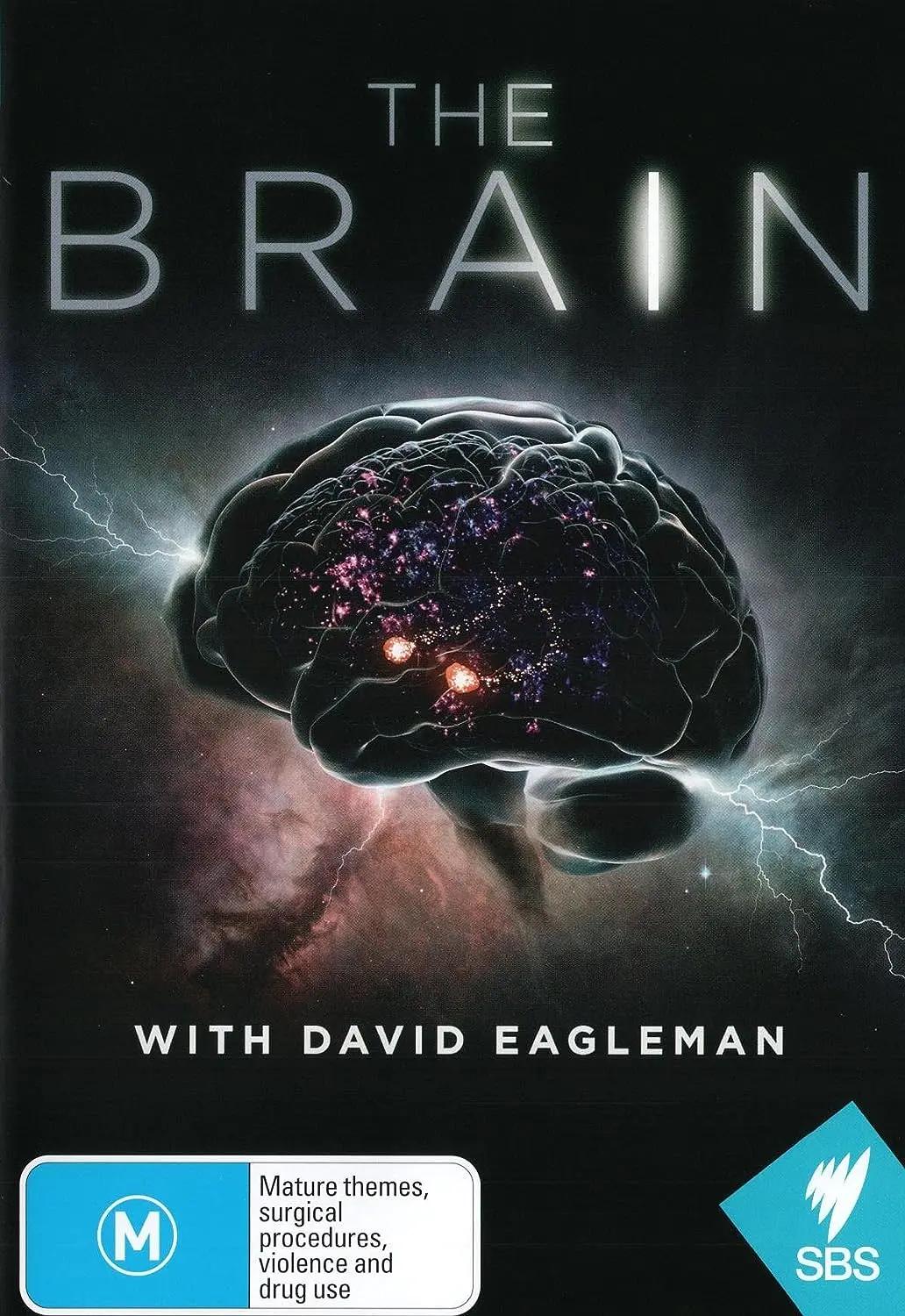 深入大脑 The Brain with David Eagleman影片海报