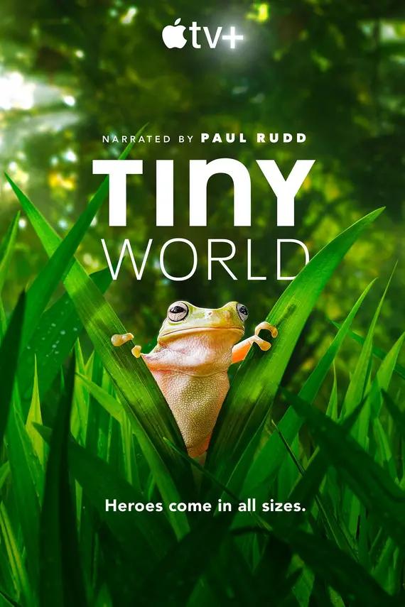 小小世界 第二季 Tiny World Season 2影片海报
