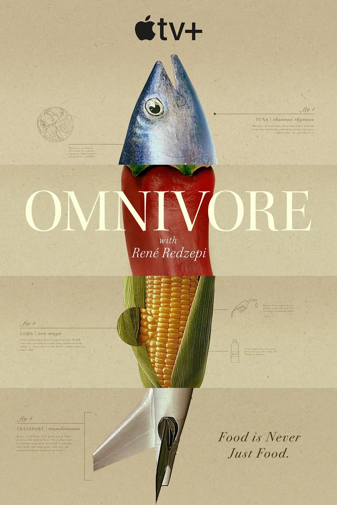 杂食动物 Omnivore