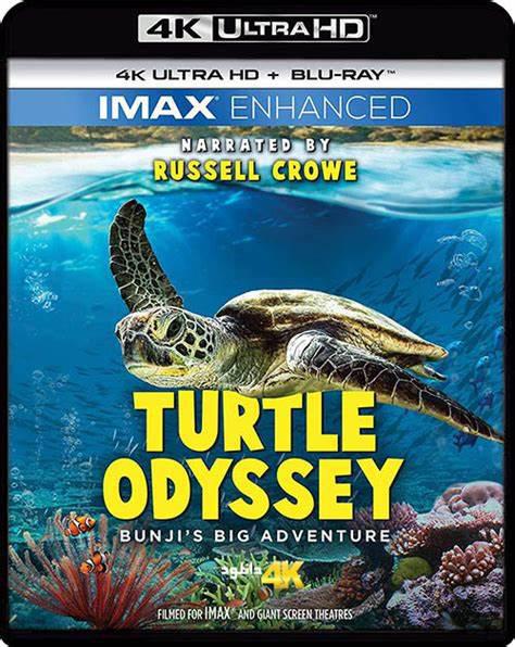 龟女士的奥德赛 Turtle Odyssey