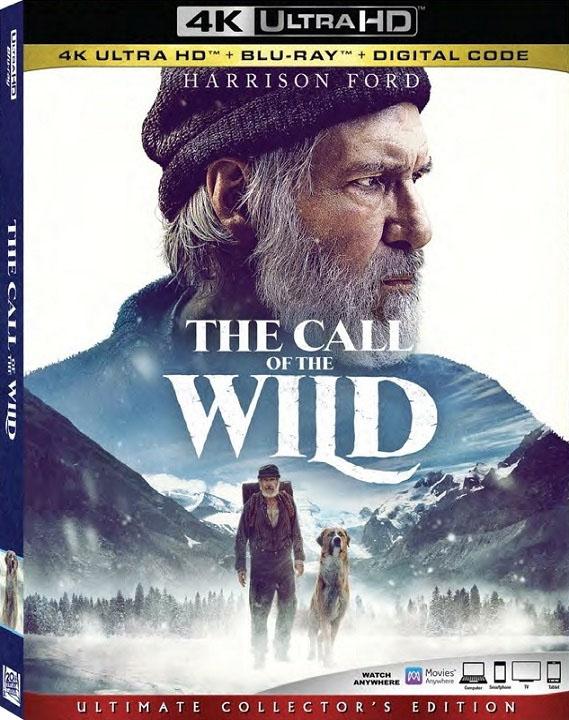 野性的呼唤 The Call of the Wild影片海报