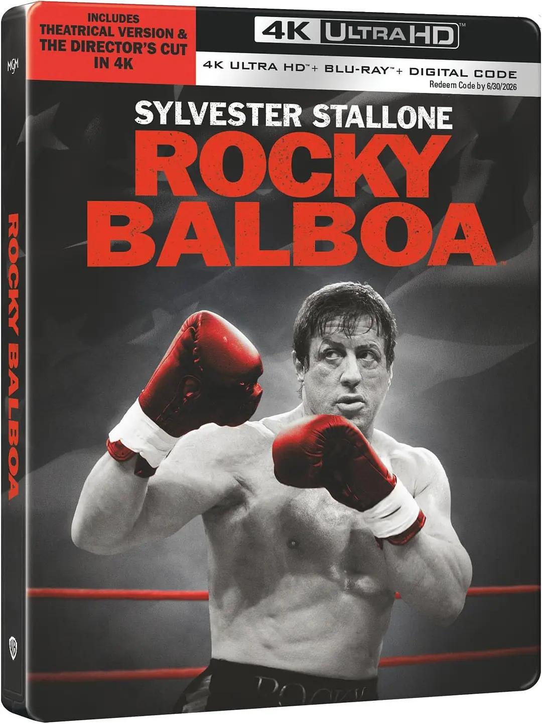 洛奇6:永远的拳王 Rocky Balboa影片海报