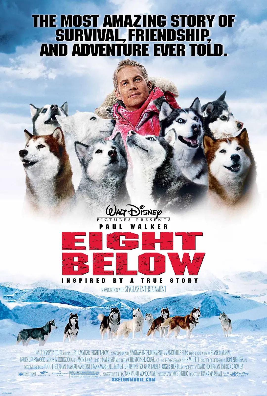 南极大冒险 Eight Below影片海报