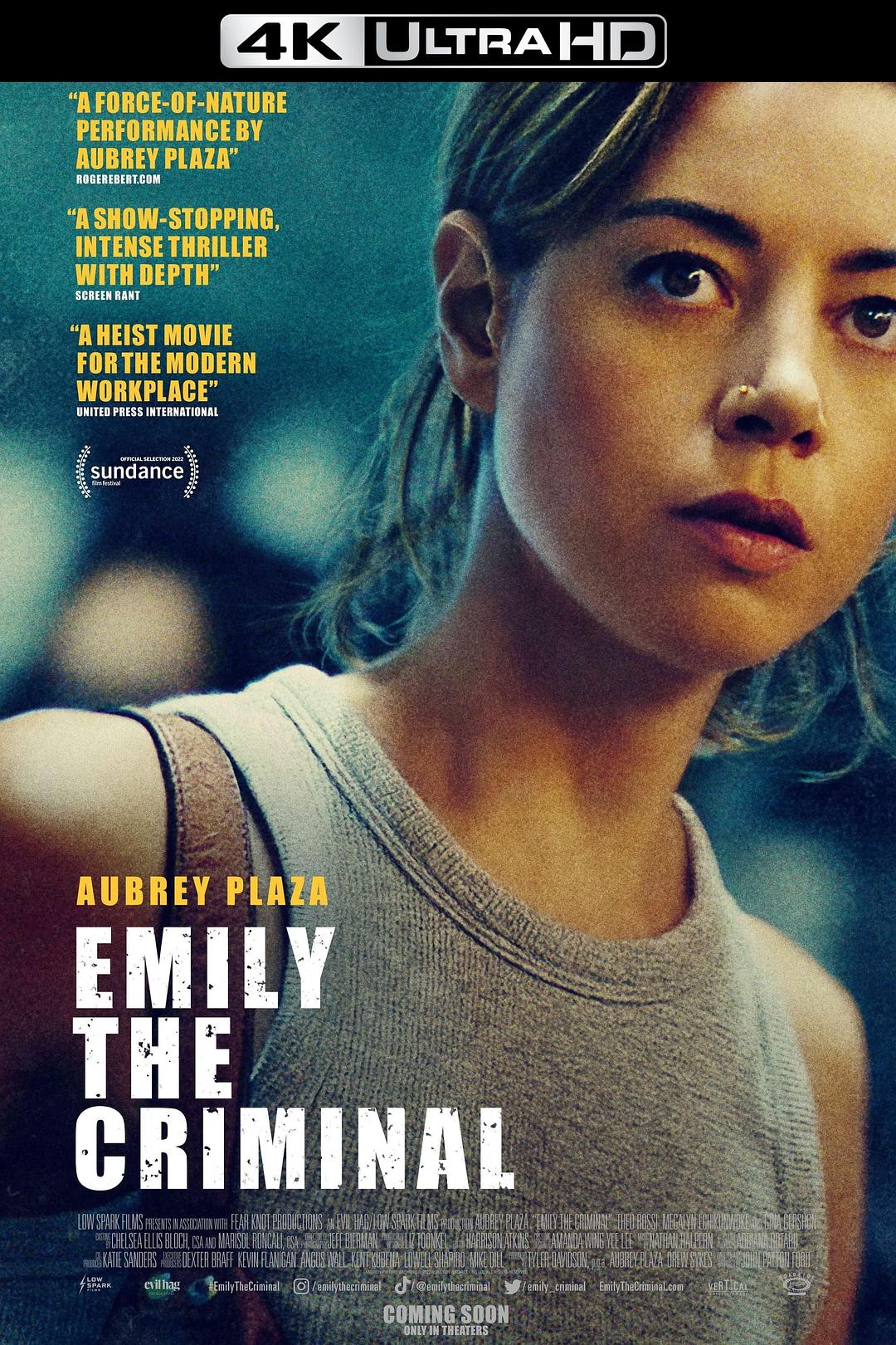 罪犯艾米丽 Emily the Criminal影片海报
