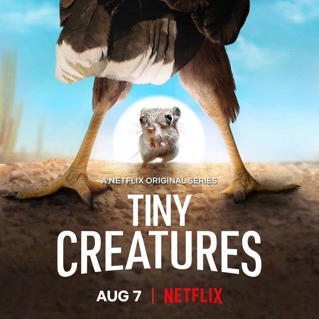 微观世界 Tiny Creatures影片海报