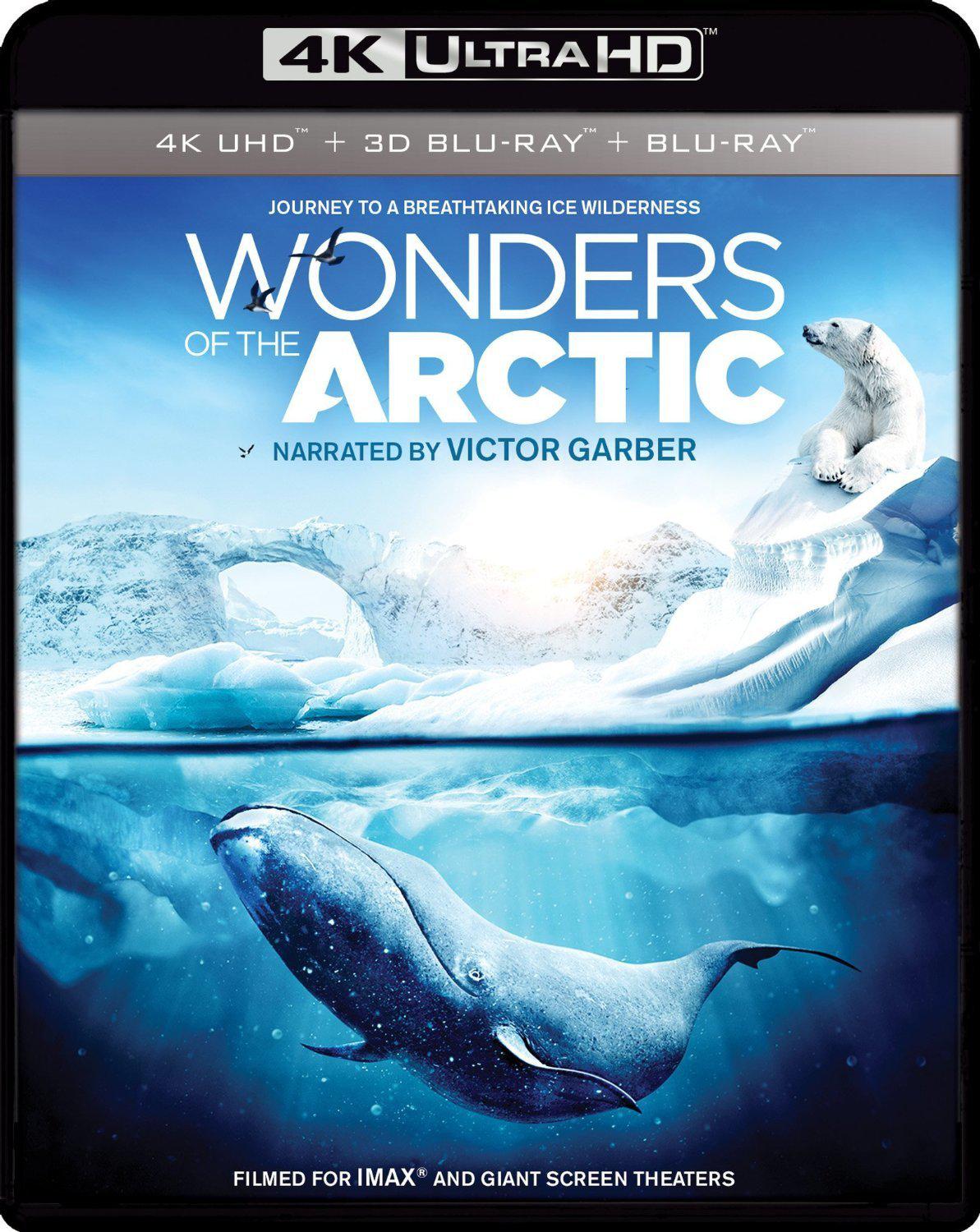 北极奇观 Wonders of the Arctic影片海报