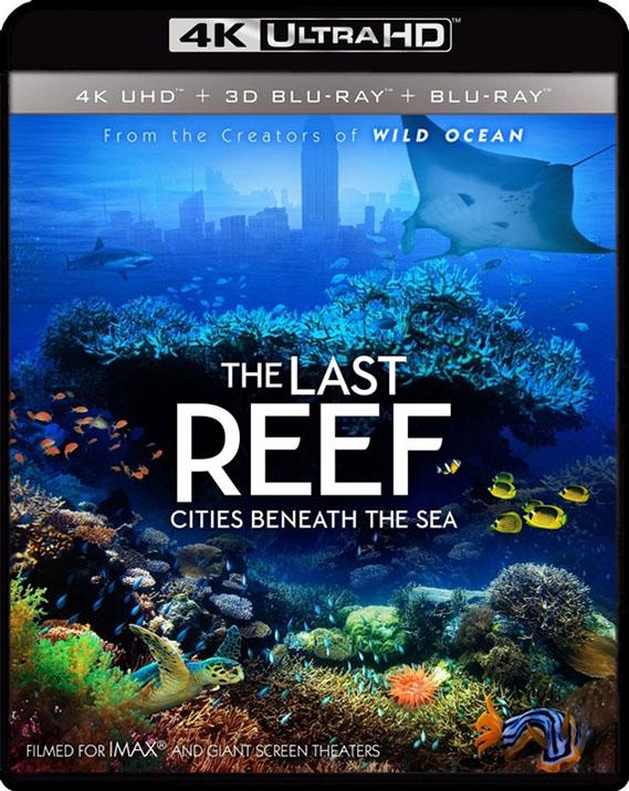 最后的珊瑚礁 The Last Reef: Cities Beneath the Sea影片海报