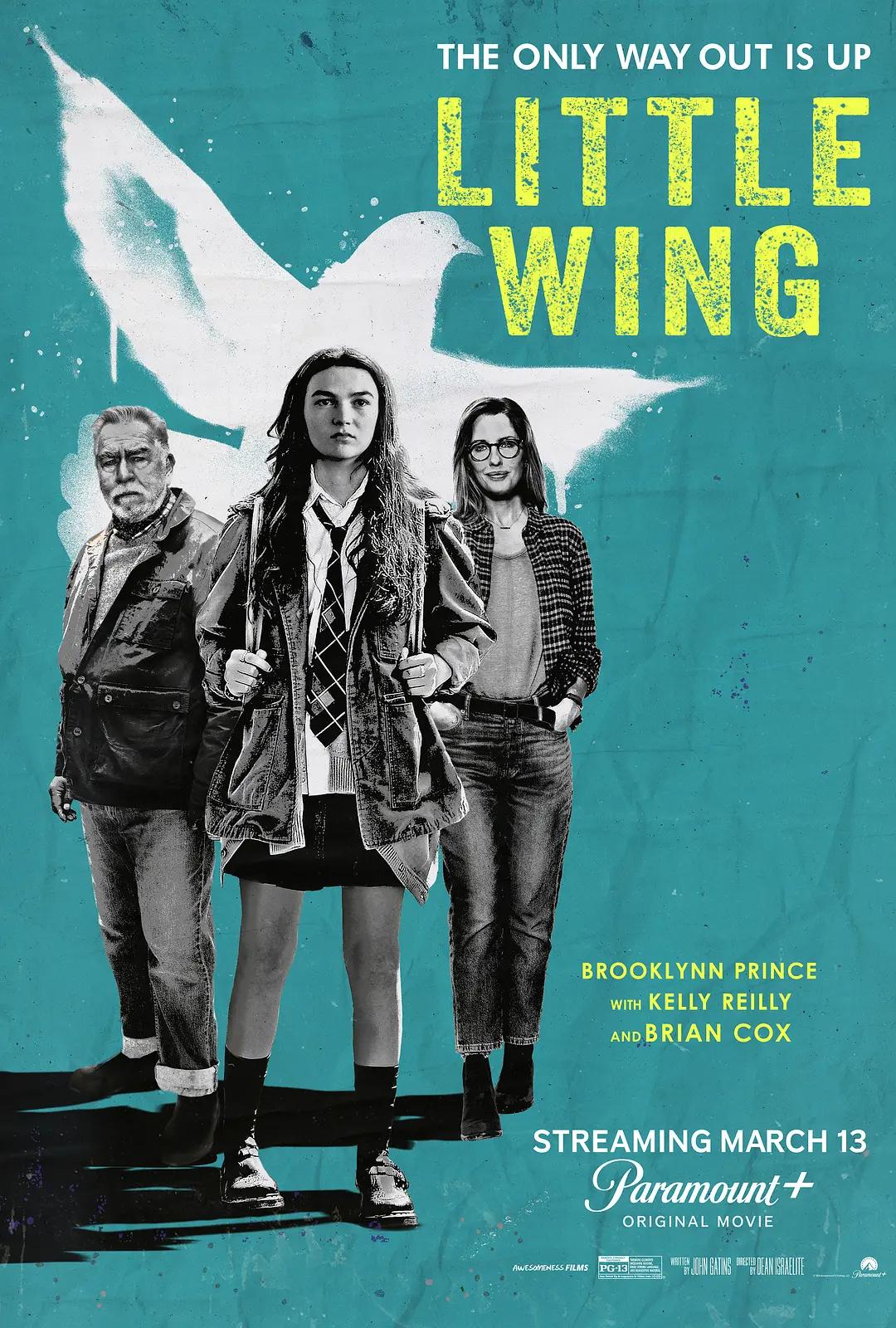 小翅膀 Little Wing影片海报
