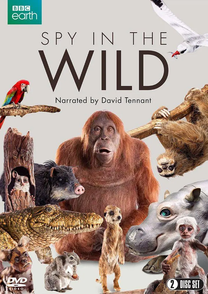 荒野间谍 第一季 Spy in the Wild Season 1影片海报