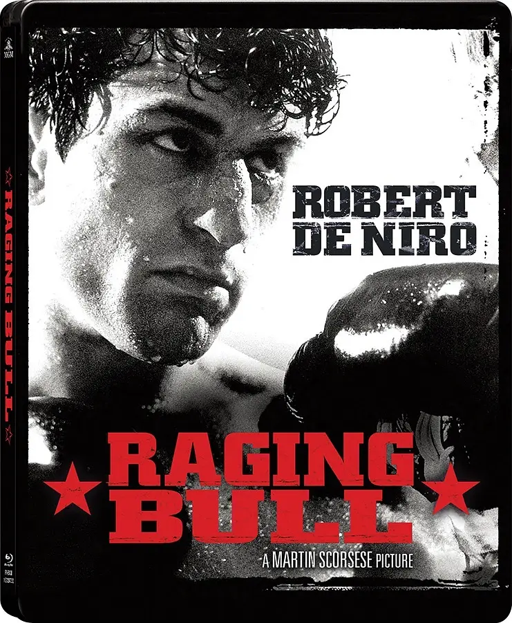 愤怒的公牛 Raging Bull影片海报