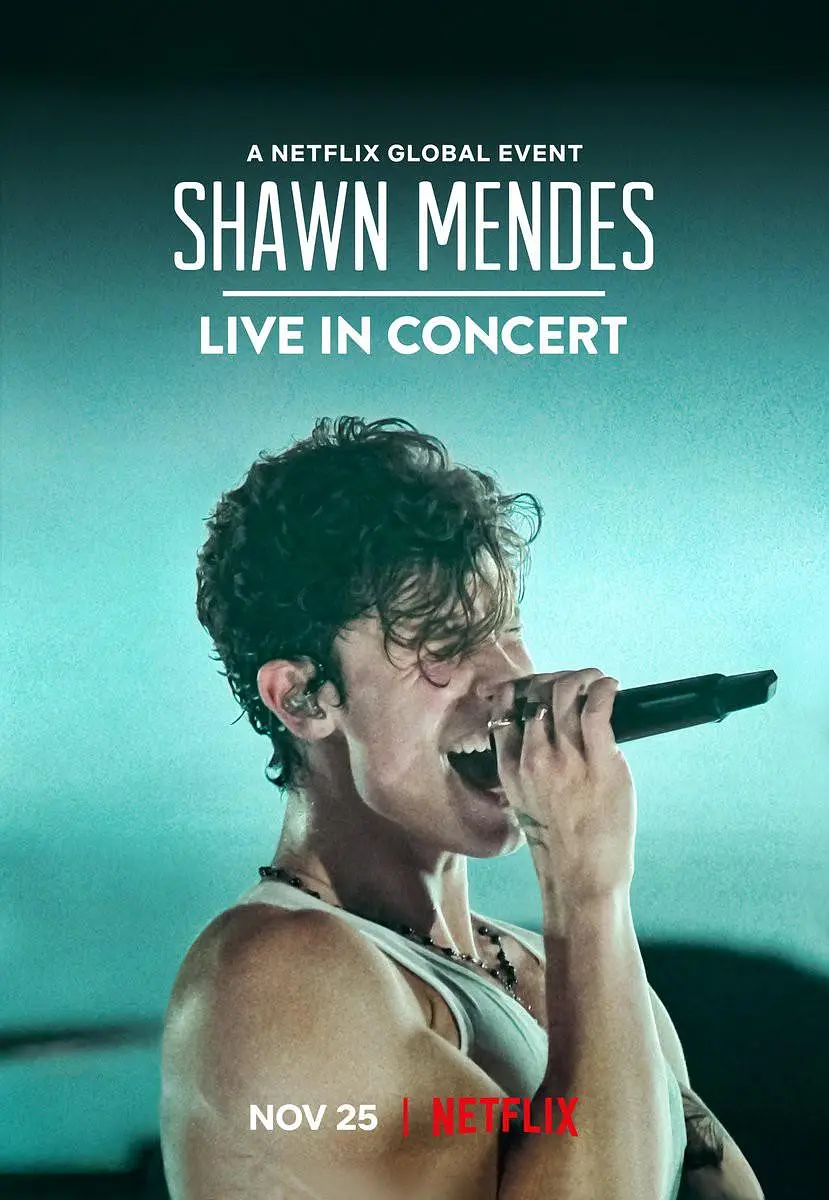 肖恩·门德斯:巡回演唱会纪实 Shawn Mendes: Live in Concert影片海报