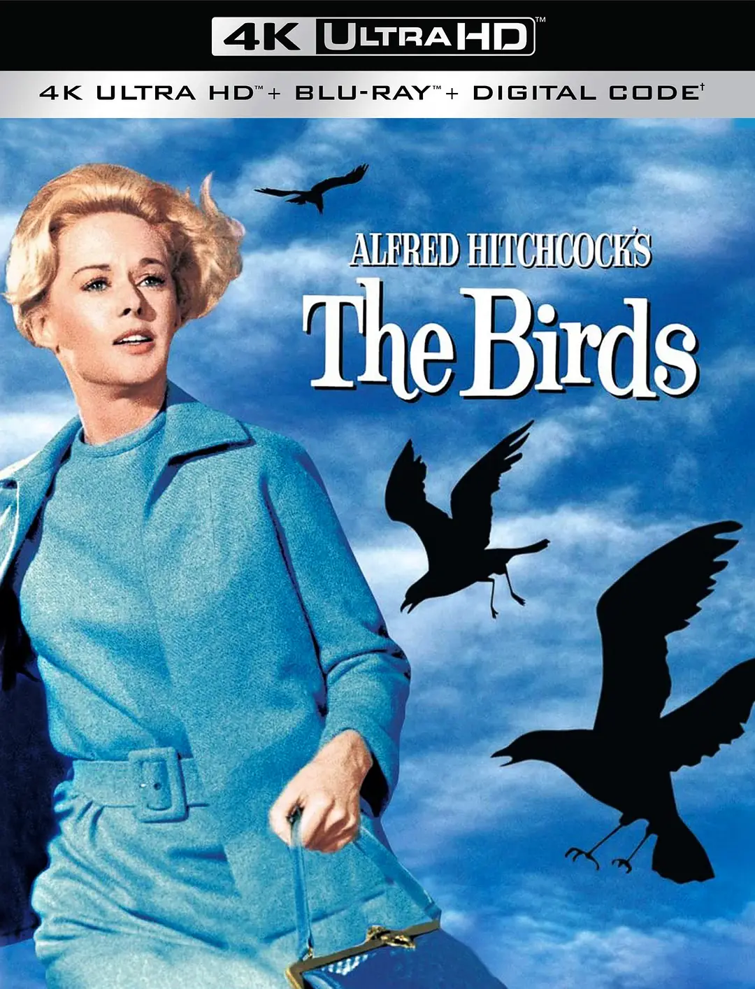 群鸟 The Birds影片海报