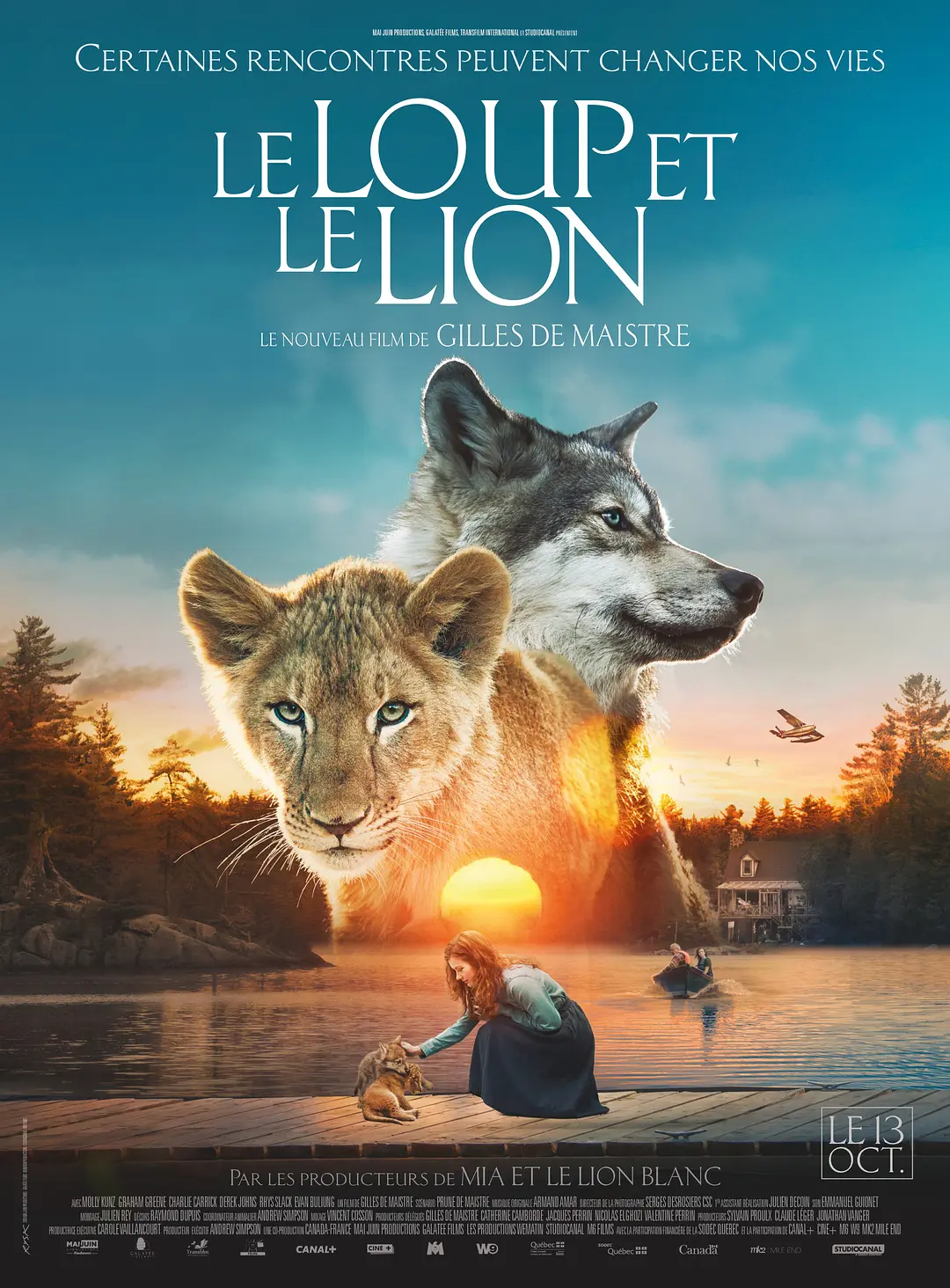 狼与狮子 Le loup et le lion影片海报