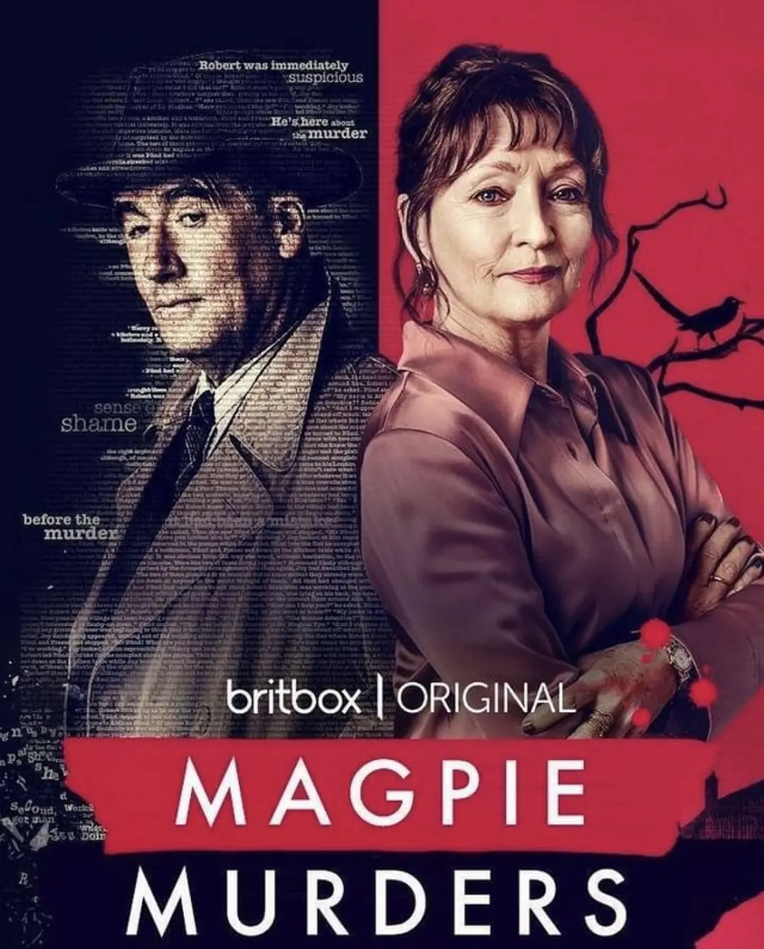 喜鹊谋杀案 Magpie Murders影片海报