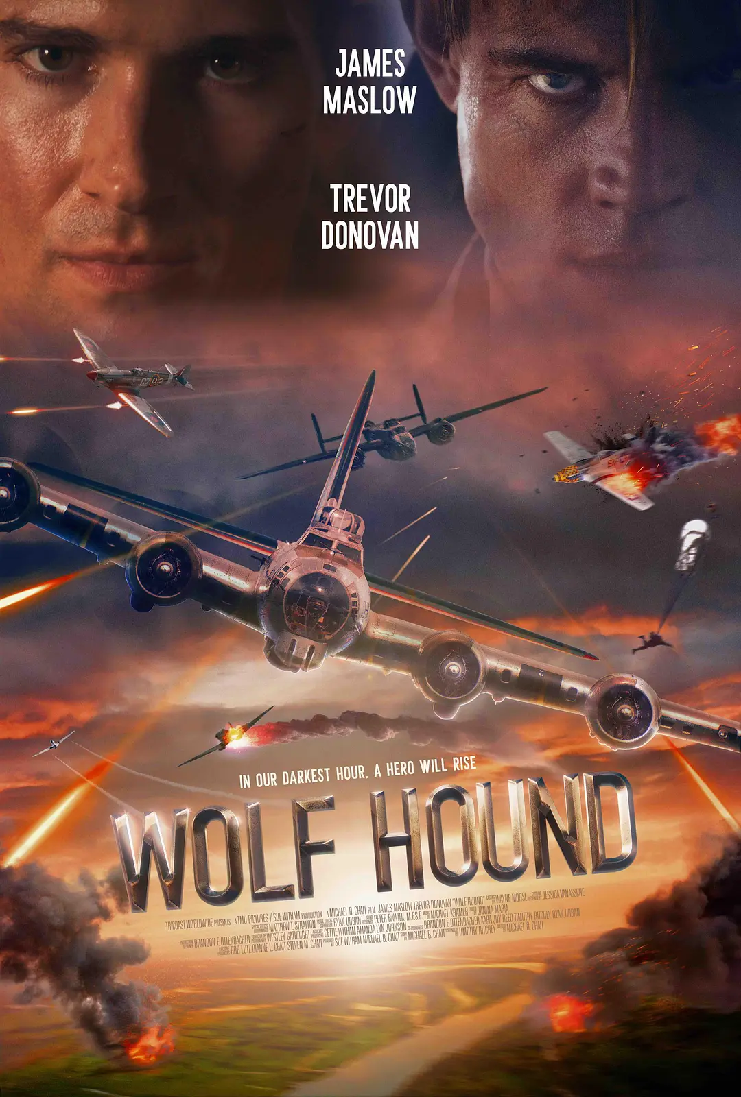 猎狼犬行动 Wolf Hound影片海报