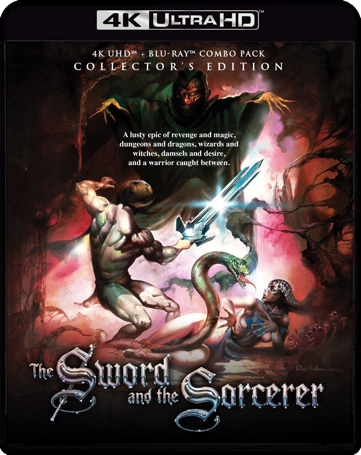 巫术神剑 The Sword and the Sorcerer影片海报