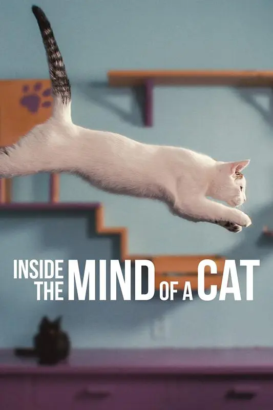 喵星人的奇思妙想 Inside the Mind of a Cat影片海报