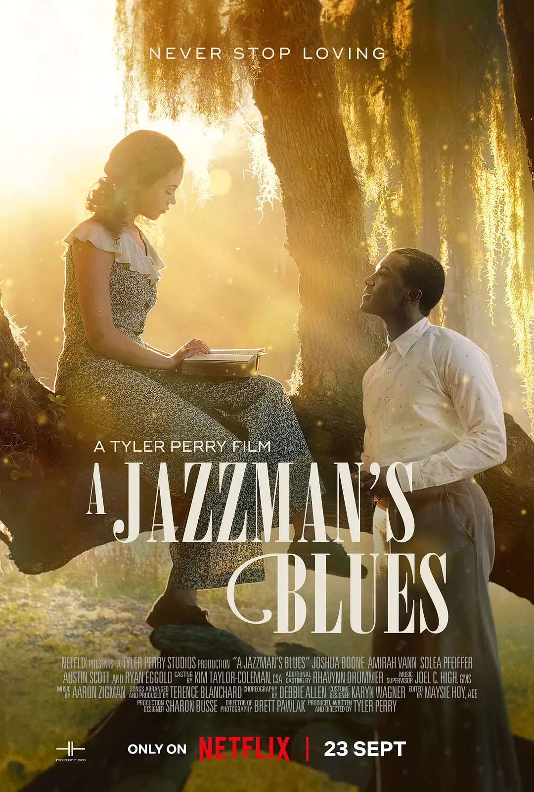 爵士情未了 A Jazzman's Blues影片海报