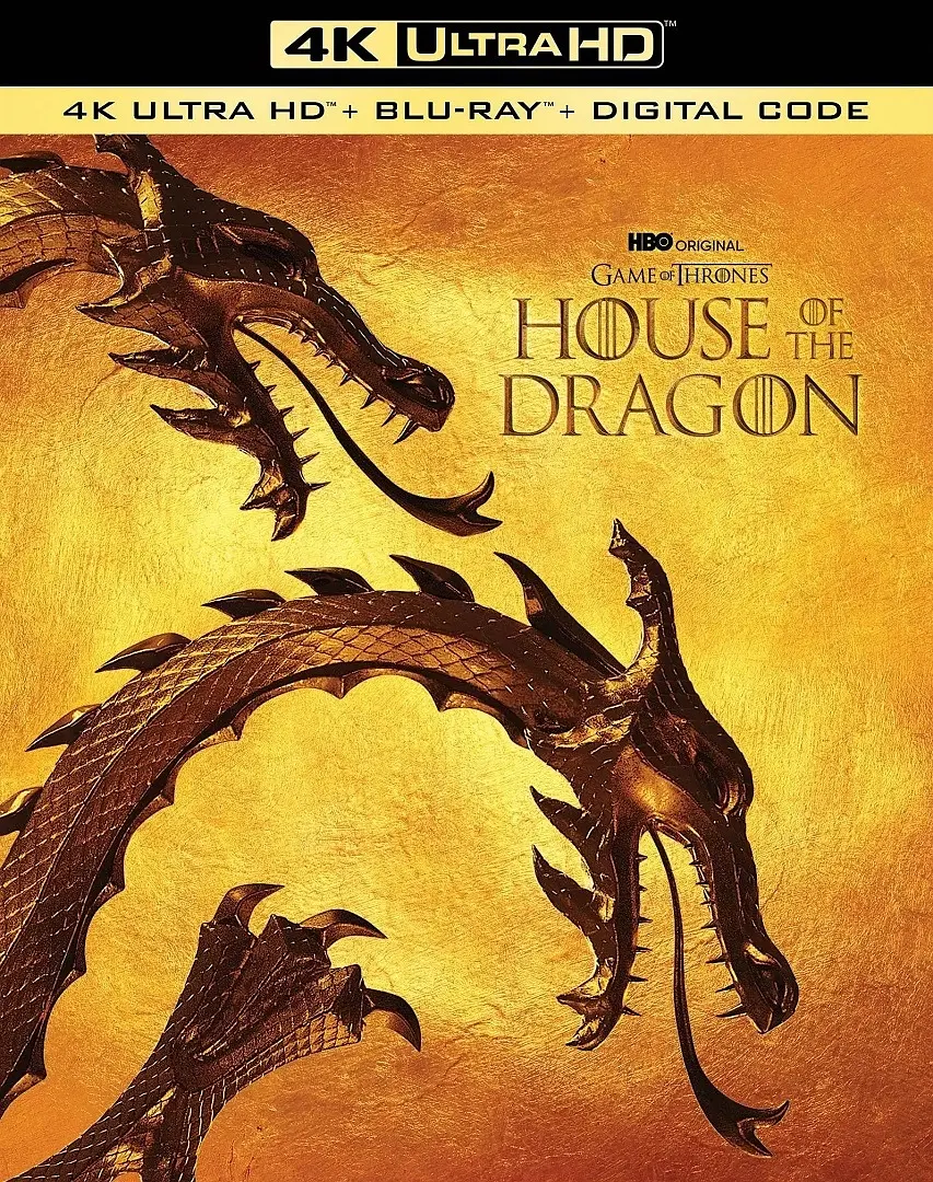 龙之家族 第一季 House of the Dragon Season 1影片海报