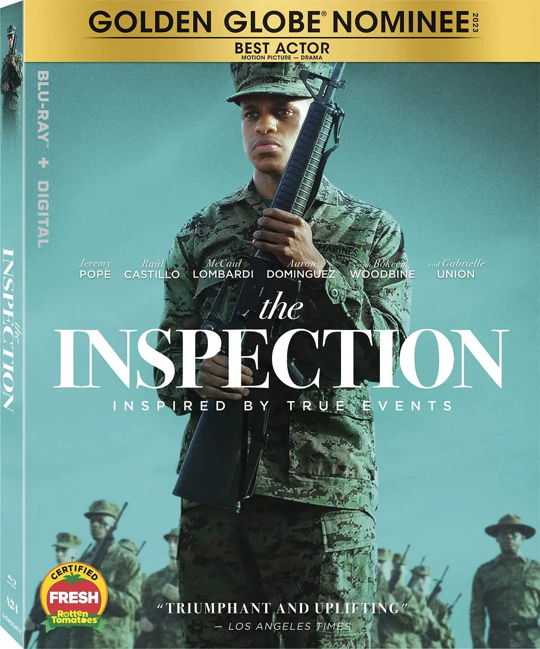 检阅日 The Inspection影片海报
