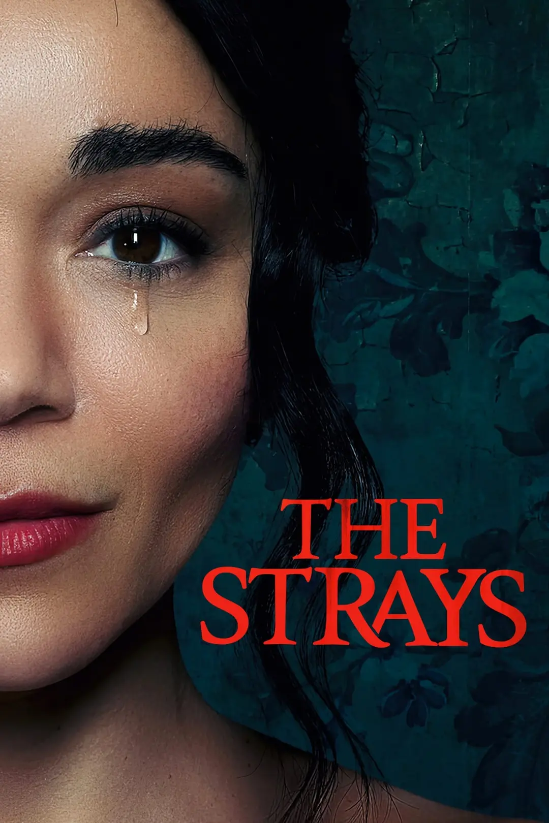 流浪者 The Strays影片海报