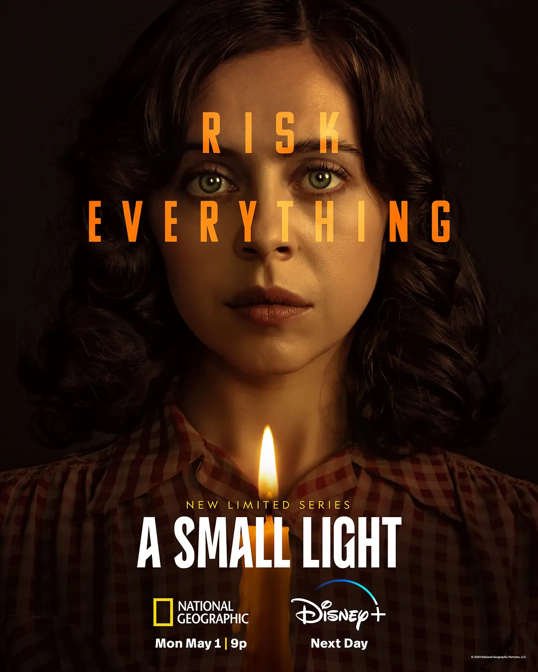 乱世微光 A Small Light影片海报