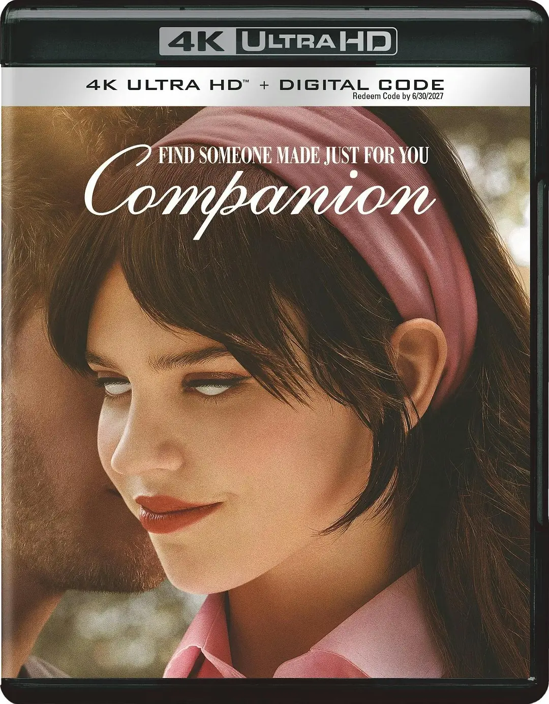 完美伴侣 Companion影片海报